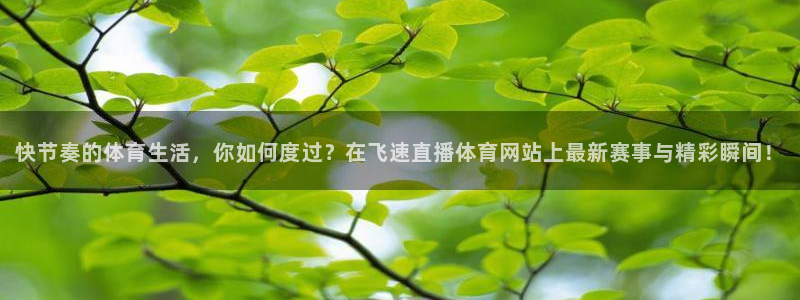 快节奏的体育生活，你如何度过？在飞速直播体育网站上最新赛事与精彩瞬间！