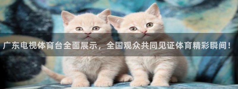 广东电视体育台全面展示，全国观众共同见证体育精彩瞬间！