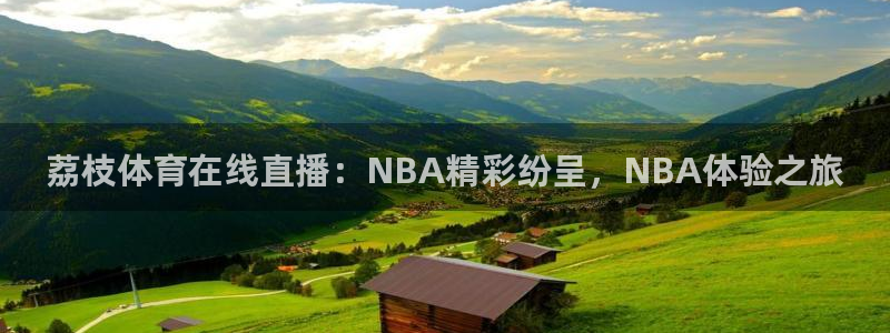 荔枝体育在线直播：NBA精彩纷呈，NBA体验之旅