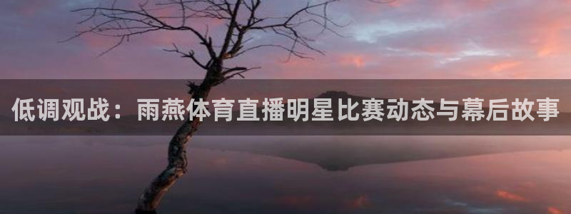 低调观战：雨燕体育直播明星比赛动态与幕后故事