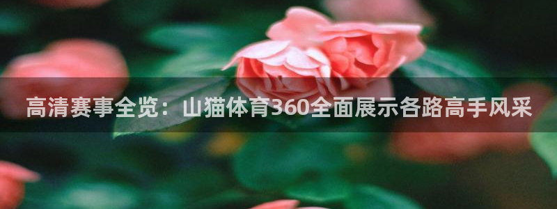 高清赛事全览：山猫体育360全面展示各路高手风采