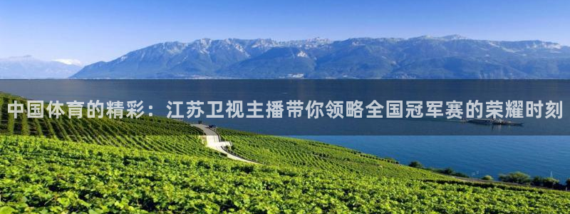 中国体育的精彩：江苏卫视主播带你领略全国冠军赛的荣耀时刻