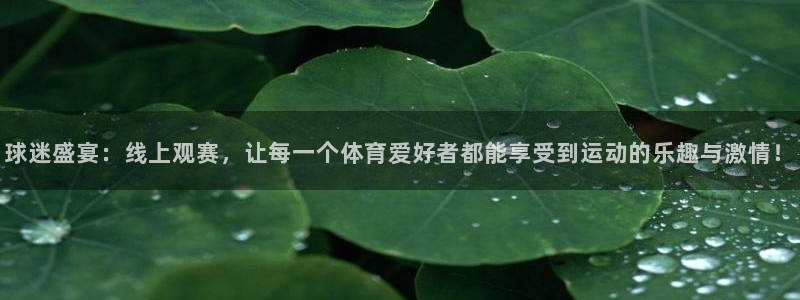 球迷盛宴：线上观赛，让每一个体育爱好者都能享受到运动的乐趣与激情！