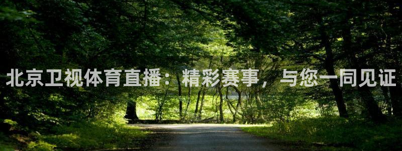 北京卫视体育直播：精彩赛事，与您一同见证