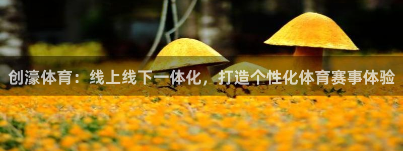 创濠体育：线上线下一体化，打造个性化体育赛事体验