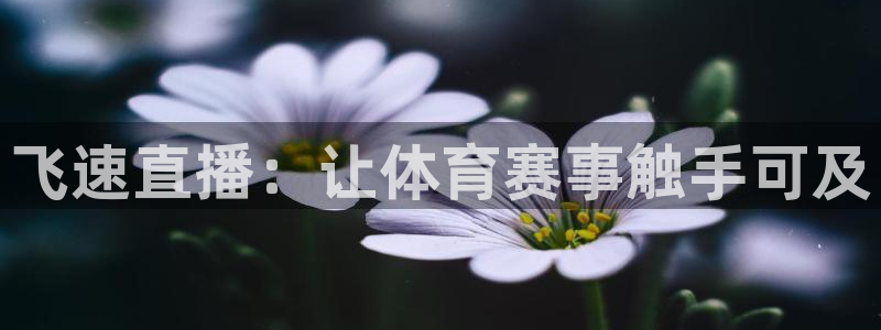 飞速直播：让体育赛事触手可及
