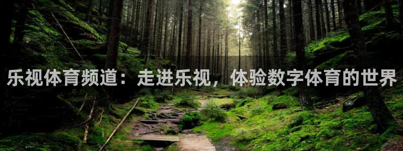 乐视体育频道：走进乐视，体验数字体育的世界