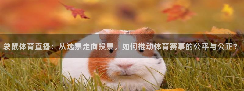 袋鼠体育直播：从选票走向投票，如何推动体育赛事的公平与公正？