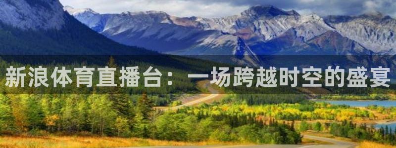 新浪体育直播台：一场跨越时空的盛宴