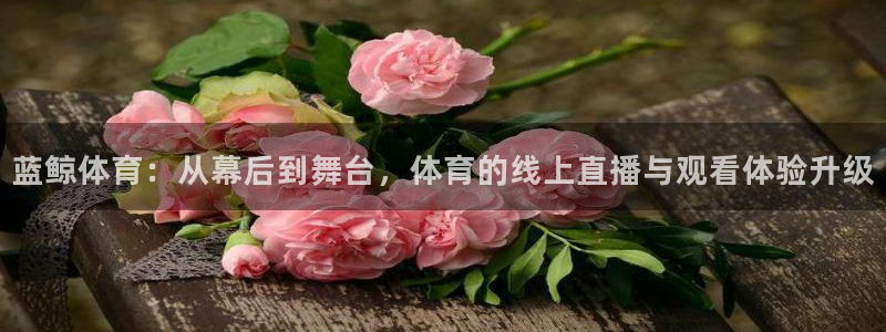 蓝鲸体育：从幕后到舞台，体育的线上直播与观看体验升级