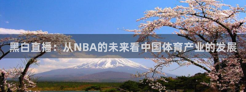黑白直播：从NBA的未来看中国体育产业的发展