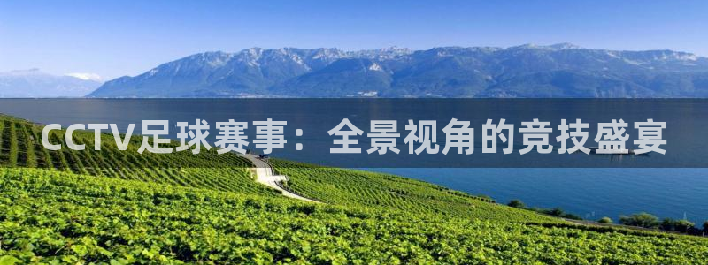 CCTV足球赛事：全景视角的竞技盛宴