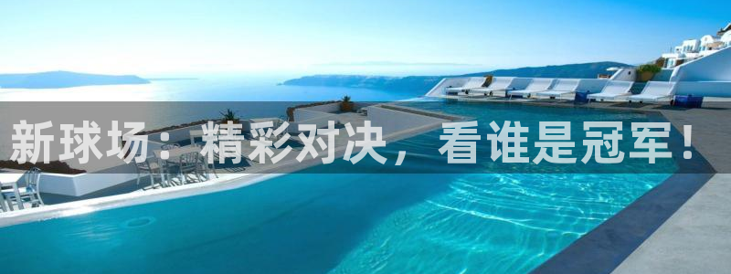 新球场：精彩对决，看谁是冠军！