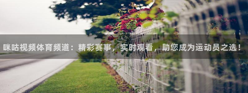 咪咕视频体育频道：精彩赛事，实时观看，助您成为运动员之选！
