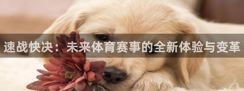 速战快决：未来体育赛事的全新体验与变革