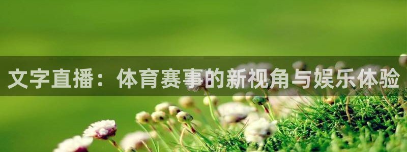 文字直播：体育赛事的新视角与娱乐体验