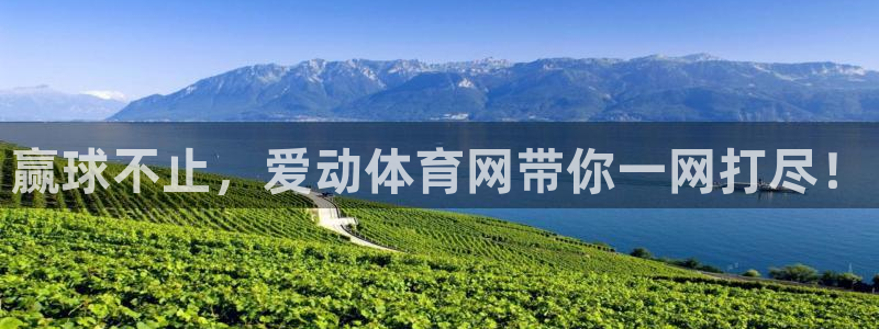 赢球不止，爱动体育网带你一网打尽！