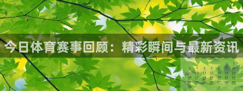 今日体育赛事回顾：精彩瞬间与最新资讯
