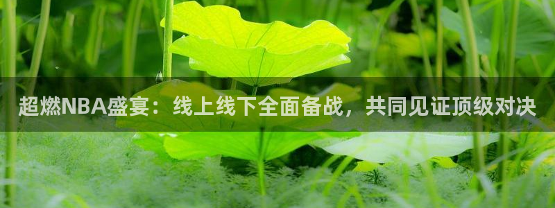 超燃NBA盛宴：线上线下全面备战，共同见证顶级对决