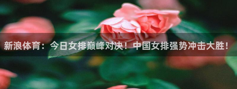 新浪体育：今日女排巅峰对决！中国女排强势冲击大胜！