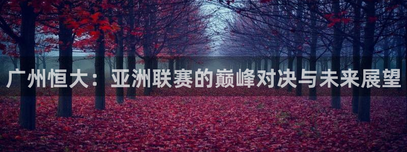 广州恒大：亚洲联赛的巅峰对决与未来展望