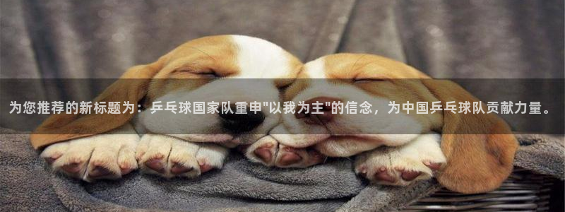 为您推荐的新标题为：乒乓球国家队重申\